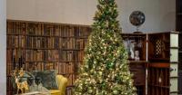 Стиль і пропорції: як підібрати ялинку під розмір і характер інтер’єру
