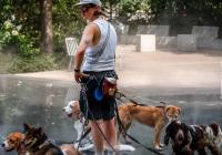 «Тепловий купол» приніс в Україну спеку до +38°C та відключення світла