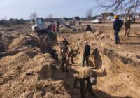 Заяви поляків виявились брехнею: на Рівненщині не виявили масового поховання жертв Волинської трагедії