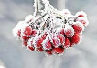 Крижаний удар: у Києві навалить снігу та вдарять морози