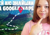 Ізольований ліс на вершині гори Ліко: унікальна екосистема Мозамбіку