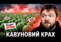 Кавуновий обвал: чому ціни на ягоду літа впали втричі та які ризики для аграріїв