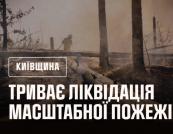 У Чорнобильській зоні масштабна пожежа, вогонь швидко розповсюджується (відео)