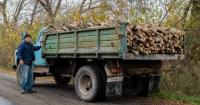 Почалося: за дрова без документів мешканець Миколаївщини отримав штраф