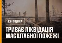 У Чорнобильській зоні масштабна пожежа, вогонь швидко розповсюджується (відео)