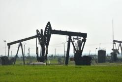 Цены на нефть рухнули на 3%: что происходит