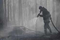 В зоне отчуждения продолжают тушить отдельные очаги пожаров (фото)