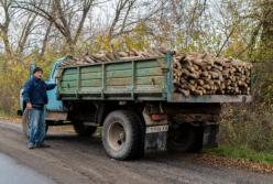 Почалося: за дрова без документів мешканець Миколаївщини отримав штраф