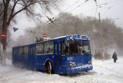 "На войну идут только идиоты": в Херсоне кондуктор троллейбуса устроила сепаратистский скандал