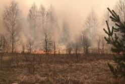 Масштабные пожары на Житомирщине: поджигателей задержали