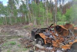 У Держлісагентстві шокували, скільки гектарів земель у лісах потребують розмінування