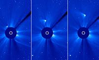 Комета ISON выжила (фото, видео)