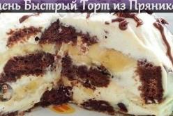 Фантастически вкусный торт без выпечки (видео)