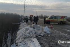 В Черниговской области грузовик упал в реку (видео)