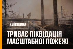 У Чорнобильській зоні масштабна пожежа, вогонь швидко розповсюджується (відео)