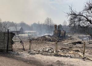 В Винницкой области на выходные и праздники запретили гулять в лесах