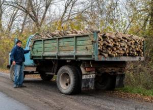 Почалося: за дрова без документів мешканець Миколаївщини отримав штраф