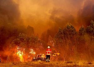 Україна запропонувала Португалії допомогу в ліквідації лісових пожеж